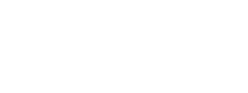 The Extraordinary Miss Flower